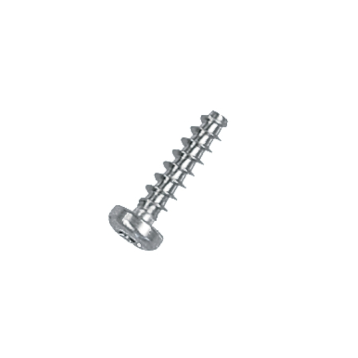 Screw in the group at Gräsklipparbutiken (5018760-01)