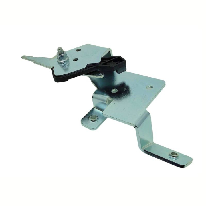 Throttle control in the group  at Gräsklipparbutiken (5022956-01)