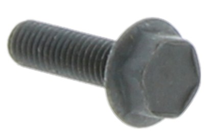 Screw M6Sf 5X18 5032000-21 in the group  at Gräsklipparbutiken (5032000-21)