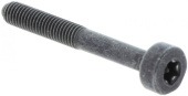 Screw Itxscm in the group  at Gräsklipparbutiken (5032153-65)