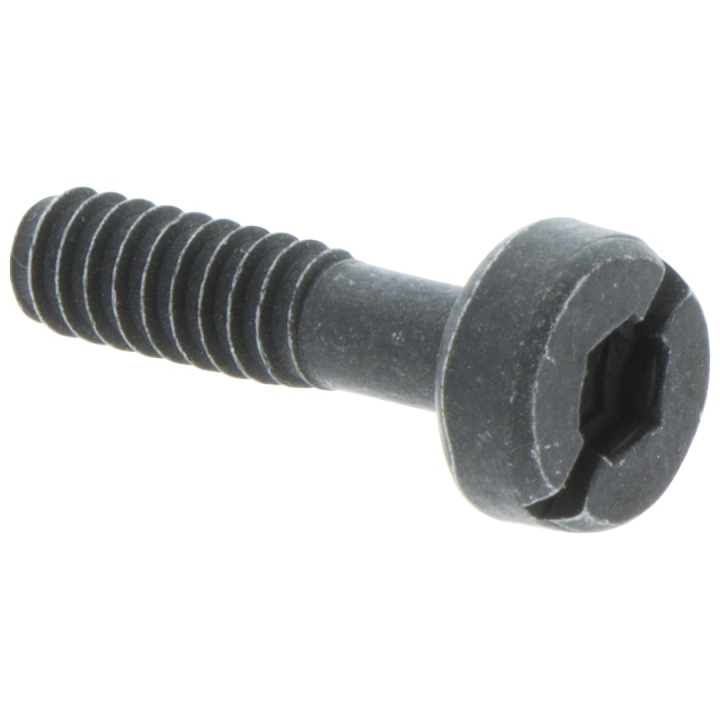 Screw 5032173-21 in the group  at Gräsklipparbutiken (5032173-21)