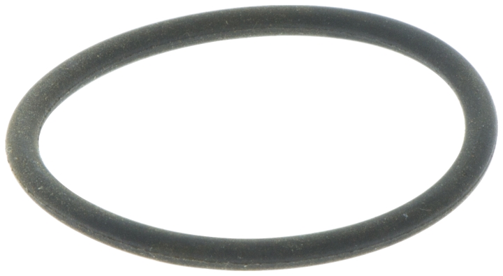 O-ring in the group  at Gräsklipparbutiken (5032630-03)