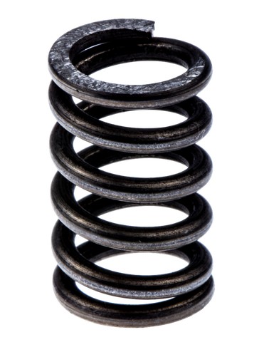 Spring in the group  at Gräsklipparbutiken (5039782-01)