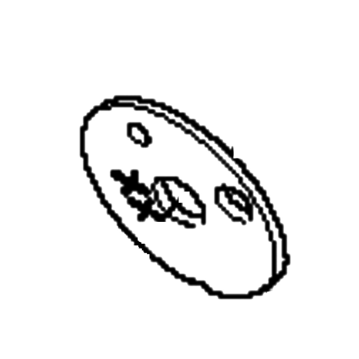 Valve 5040276-01 in the group  at Gräsklipparbutiken (5040276-01)