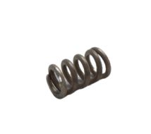 Spring 5042100-50 in the group at Gräsklipparbutiken (5042100-50)