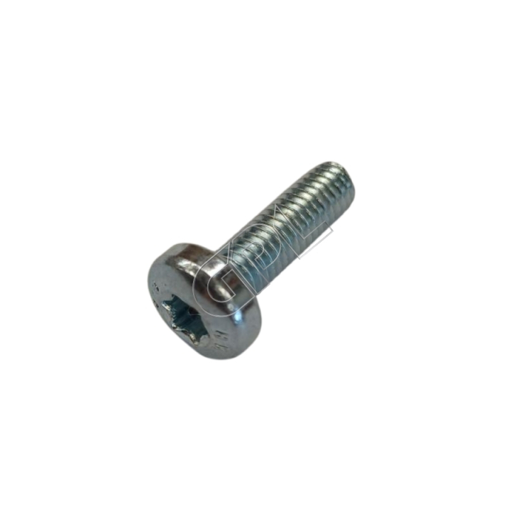 Screw in the group at Gräsklipparbutiken (5055577-04)