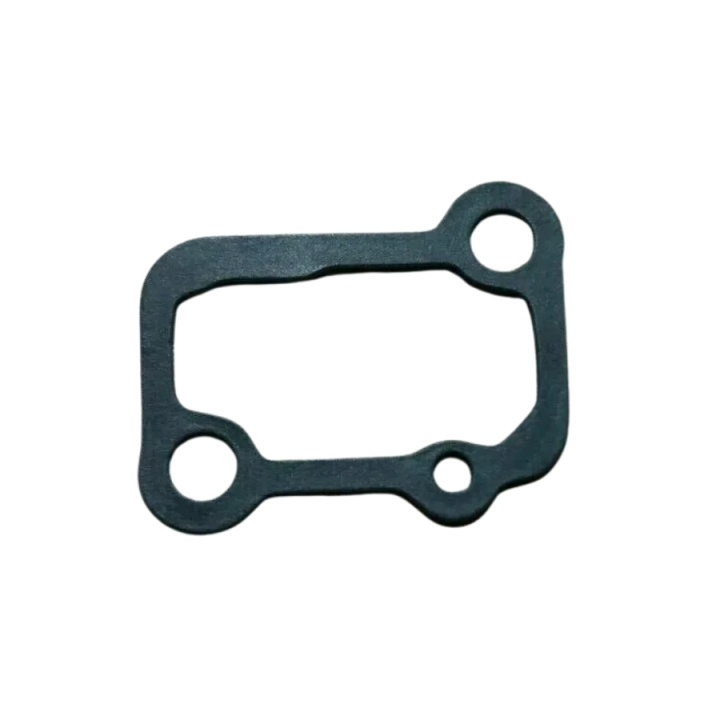Gasket in the group at Gräsklipparbutiken (5063203-01)