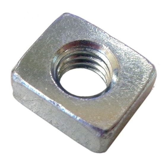 Nut in the group at Gräsklipparbutiken (5064093-01)