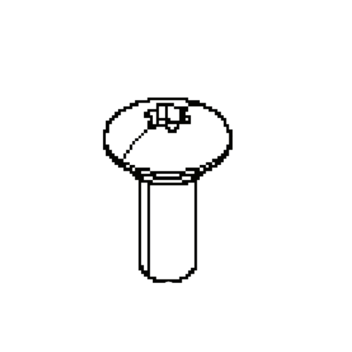 Screw 5066143-01 in the group  at Gräsklipparbutiken (5066143-01)