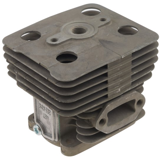 Cylinder-C in the group at Gräsklipparbutiken (5066538-01)