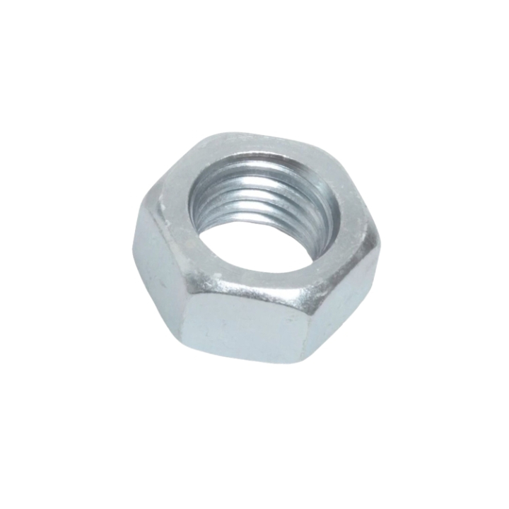 Nut in the group at Gräsklipparbutiken (5068998-01)