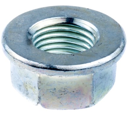 Nut in the group  at Gräsklipparbutiken (5132419-01)