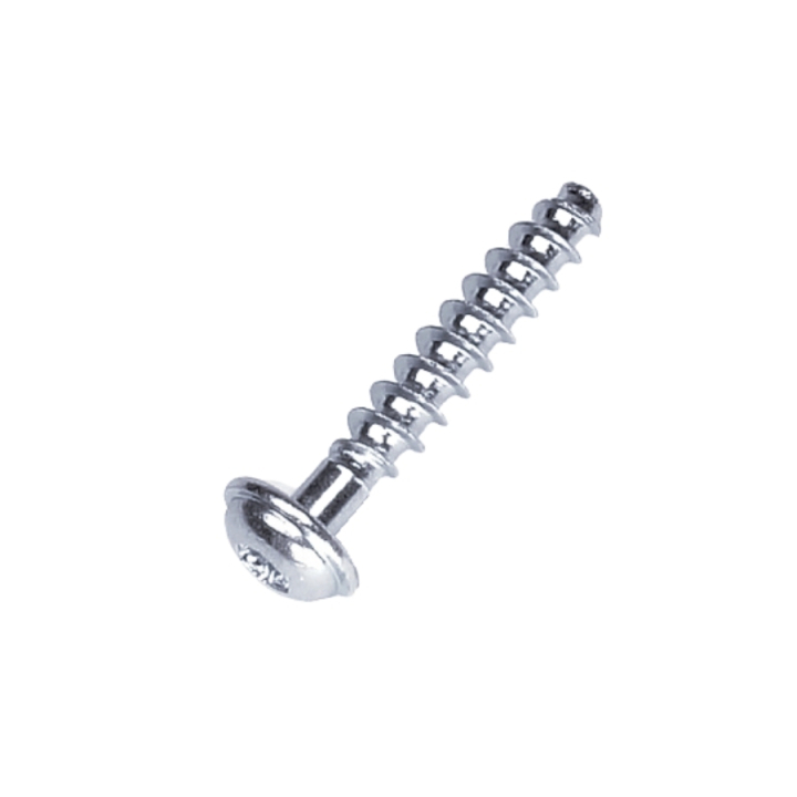 Screw T50X28 5205247-01 in the group at Gräsklipparbutiken (5205247-01)