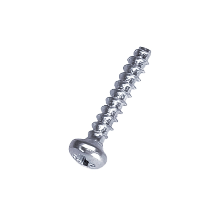 Cylinder Screw 3.5X20 5206120-01 in the group at Gräsklipparbutiken (5206120-01)