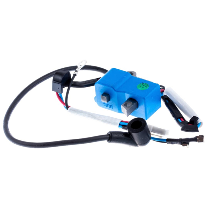 Ignition Module H 555 5227951-07 in the group at Gräsklipparbutiken (5227951-07)