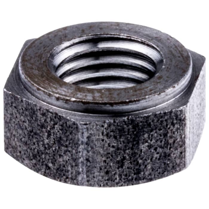 Nut in the group at Gräsklipparbutiken (5231224-03)