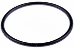 Seal, 700mm in the group at Gräsklipparbutiken (5256170-04)