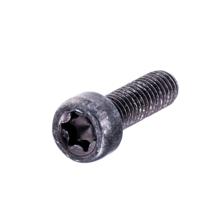 Screw Itxscm M5X16 T27 12.9 T 5258249-12 in the group  at Gräsklipparbutiken (5258249-12)