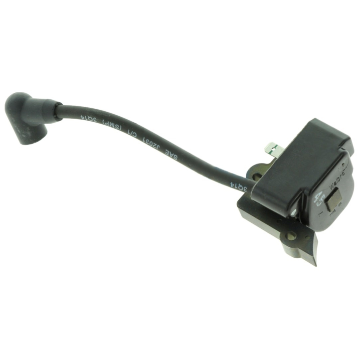 Module--Ignition 5300355-05 in the group at Gräsklipparbutiken (5300355-05)