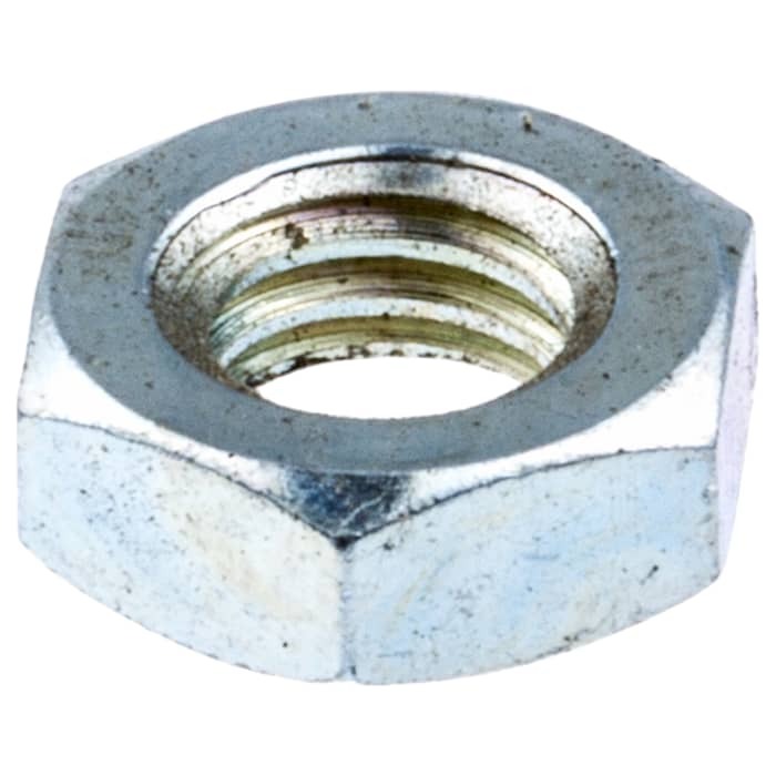 Nut in the group at Gräsklipparbutiken (5310024-45)