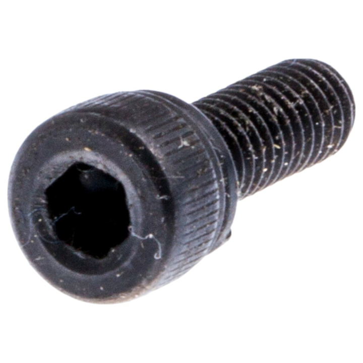 Screw 5310049-57 in the group at Gräsklipparbutiken (5310049-57)