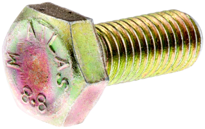Screw (left) in the group at Gräsklipparbutiken (5310056-76)