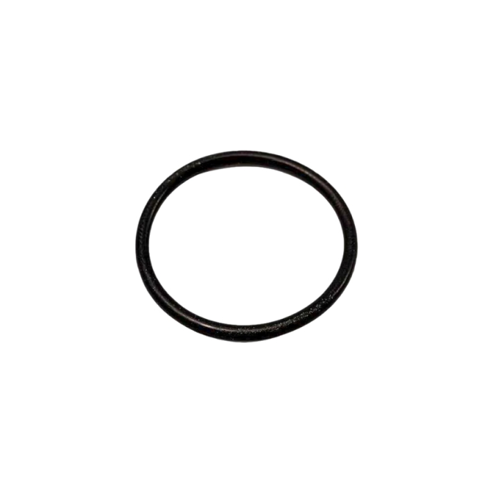 O-Ring 5310296-58 in the group at Gräsklipparbutiken (5310296-58)