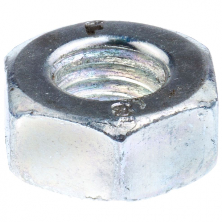 Nut in the group at Gräsklipparbutiken (5312079-78)