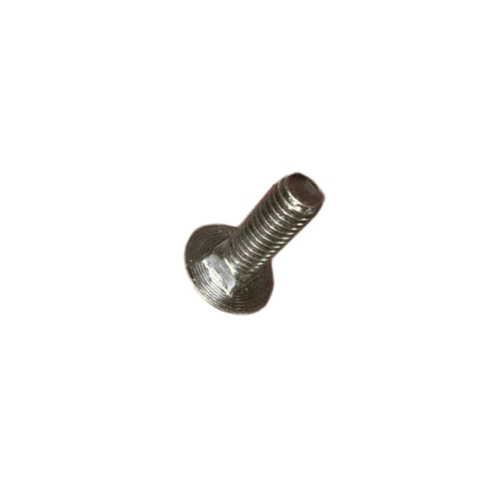 Screw rhsnb 5/16C*1 in the group  at Gräsklipparbutiken (5399902-08)