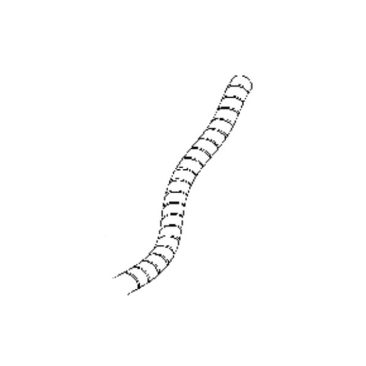 Hose protection in the group at Gräsklipparbutiken (5440266-07)