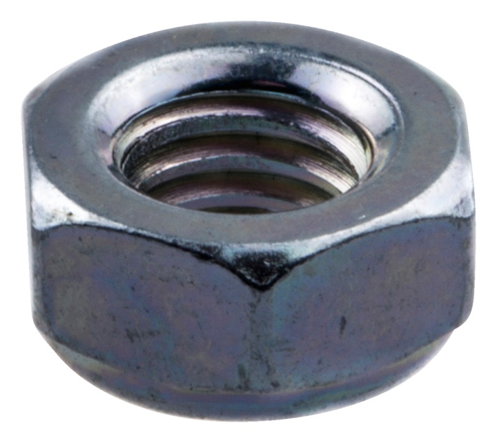 Nut in the group at Gräsklipparbutiken (5443052-01)