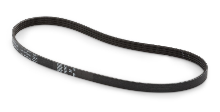 Belt in the group at Gräsklipparbutiken (5449763-06)
