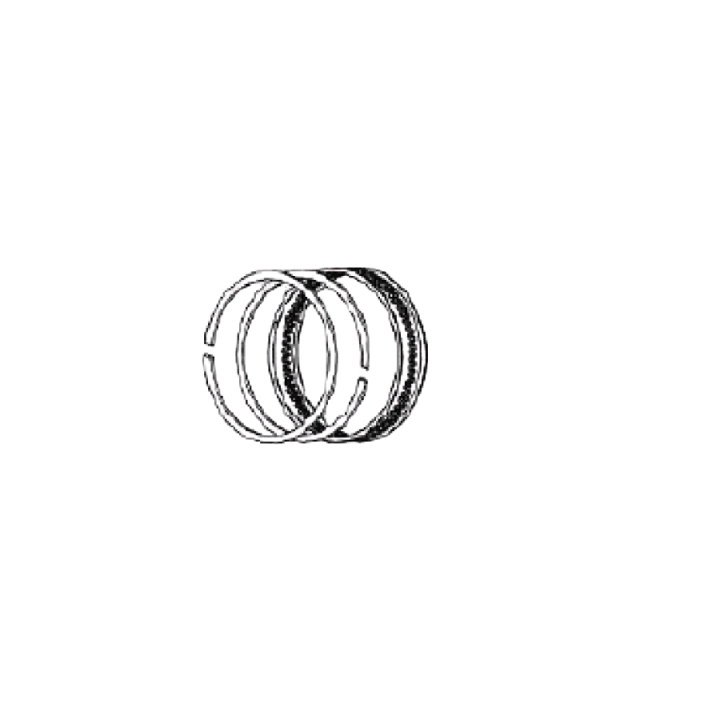 Piston Ring Set in the group at Gräsklipparbutiken (5461906-01)