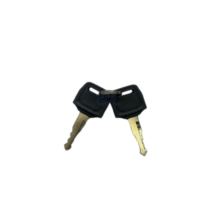 Ignition Key Ts/Tc Tractors 2- in the group  at Gräsklipparbutiken (5473166-01)
