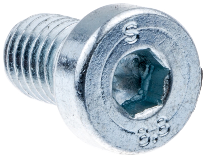 Screw in the group  at Gräsklipparbutiken (5756363-01)