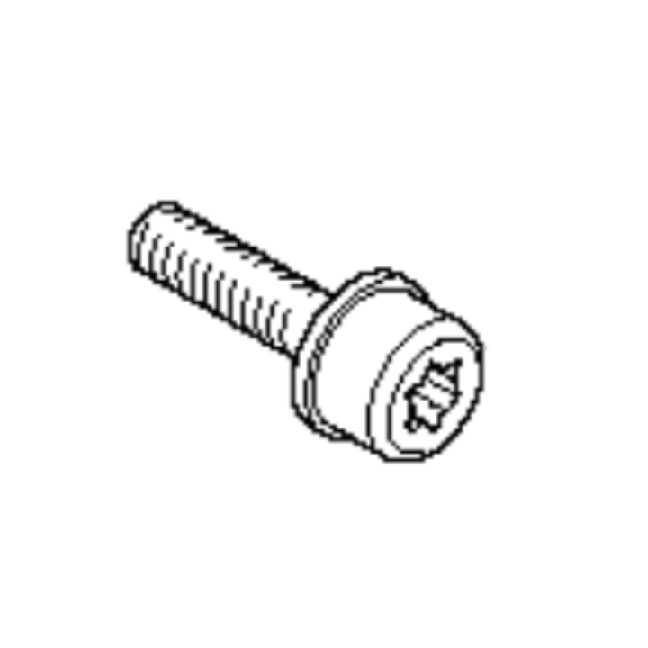 Screw M4-0.7X16Mm 4Stroke Pp 5759626-01 in the group  at Gräsklipparbutiken (5759626-01)