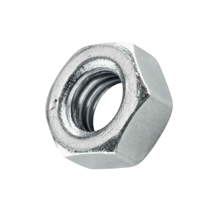 Nut in the group  at Gräsklipparbutiken (5787893-01)