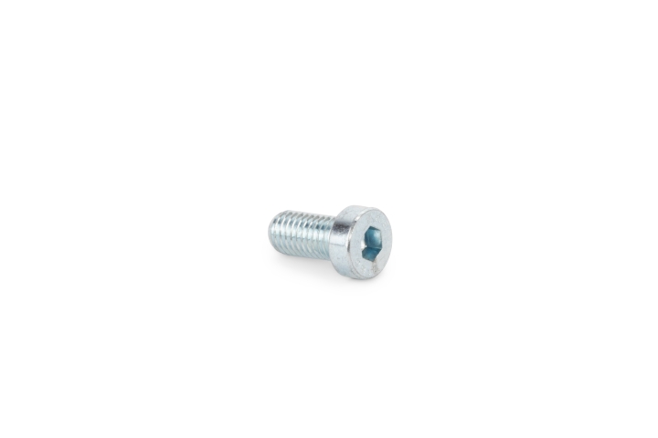 Screw in the group  at Gräsklipparbutiken (5790423-01)
