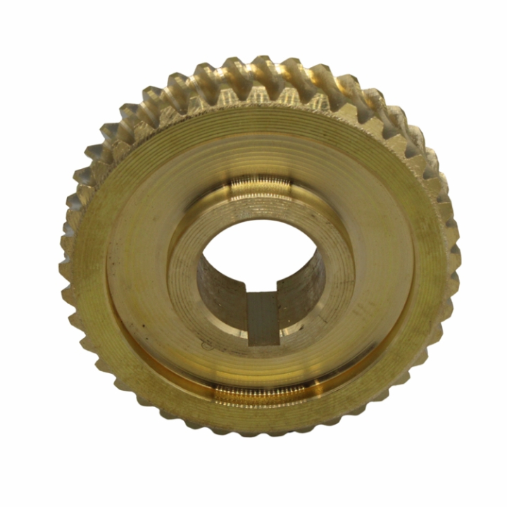 Shell 5803641-01 in the group at Gräsklipparbutiken (5803641-01)