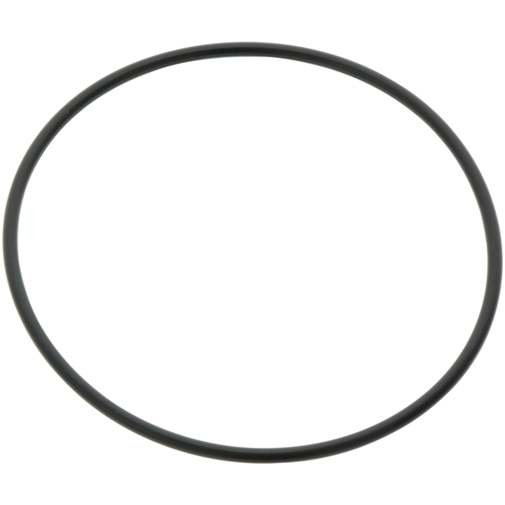 O-Ring in the group at Gräsklipparbutiken (5814519-01)