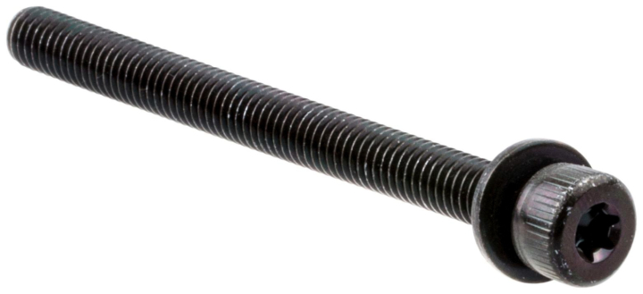 Bolt in the group at Gräsklipparbutiken (5846339-01)