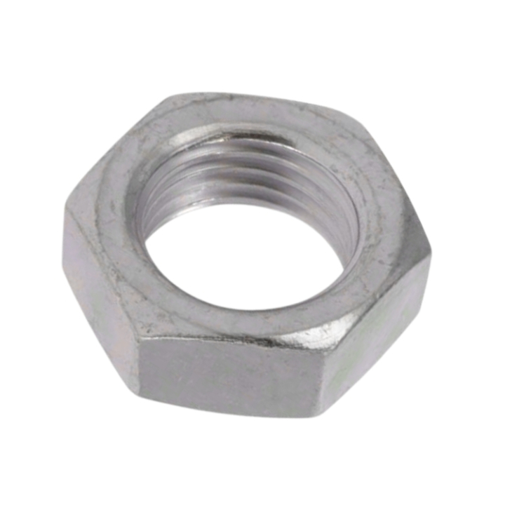 Nut in the group  at Gräsklipparbutiken (5855368-01)