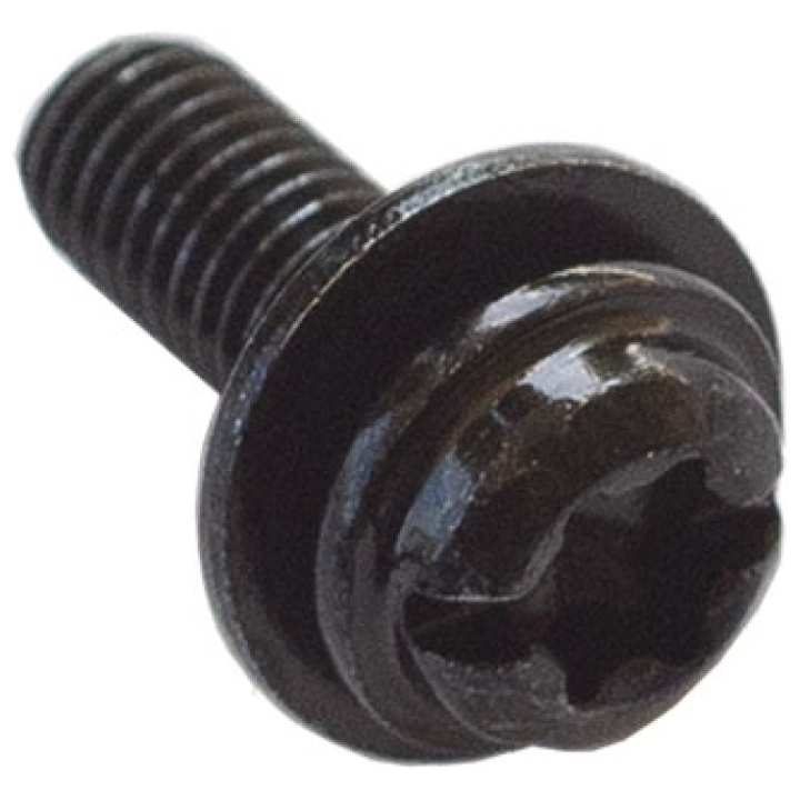 Screw T27 5 X 0.8 X 14 in the group at Gräsklipparbutiken (5864965-01)