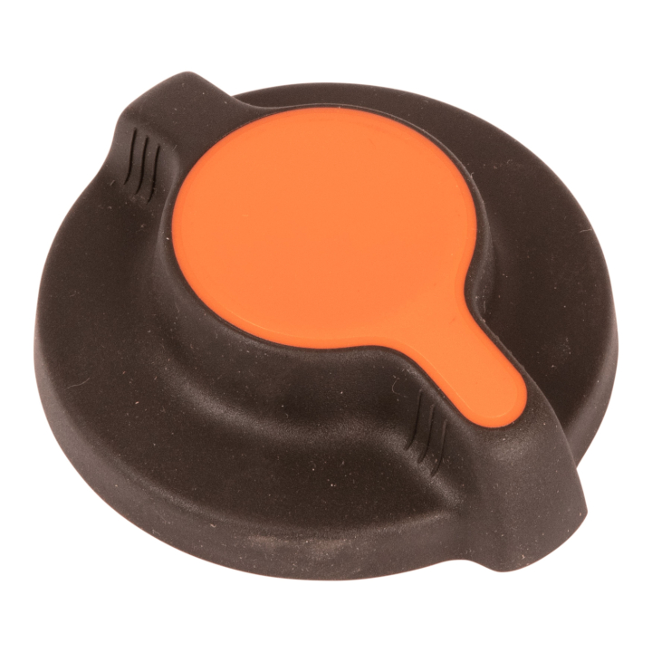 Knob Sileno in the group at Gräsklipparbutiken (5879865-01)