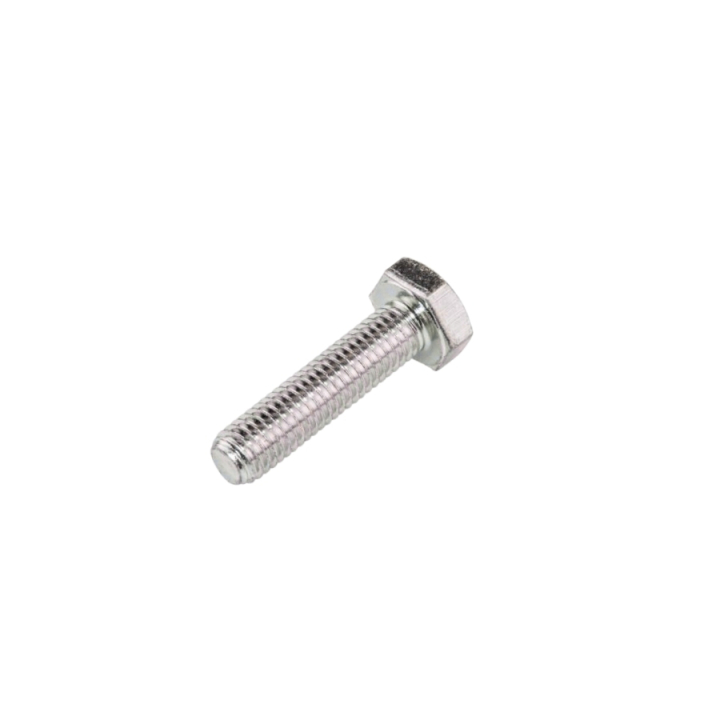 Screw in the group at Gräsklipparbutiken (5884095-01)