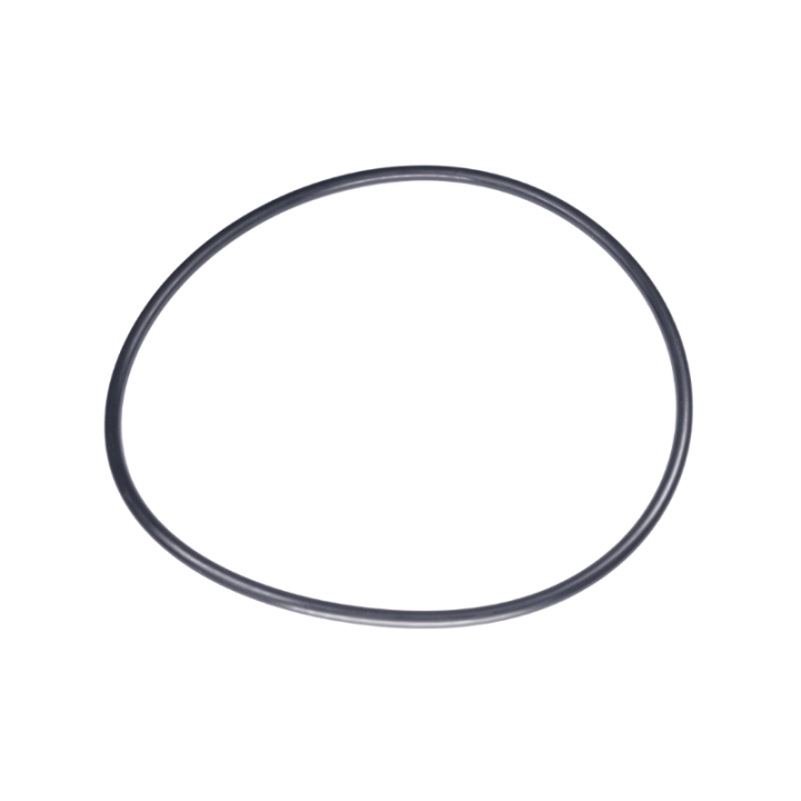 O-Ring 160X5.5 5885243-01 in the group at Gräsklipparbutiken (5885243-01)