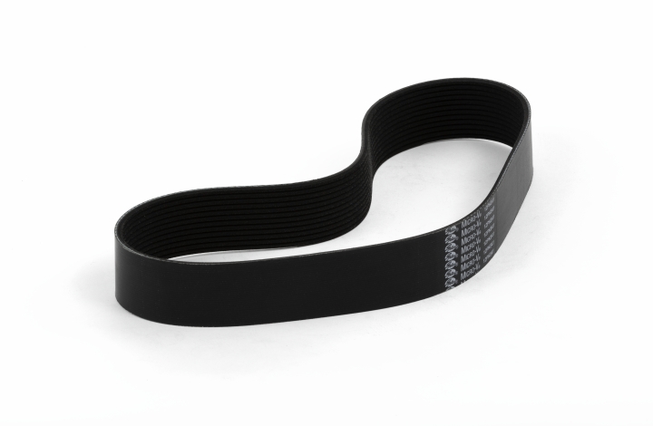 Belt in the group at Gräsklipparbutiken (5887686-01)