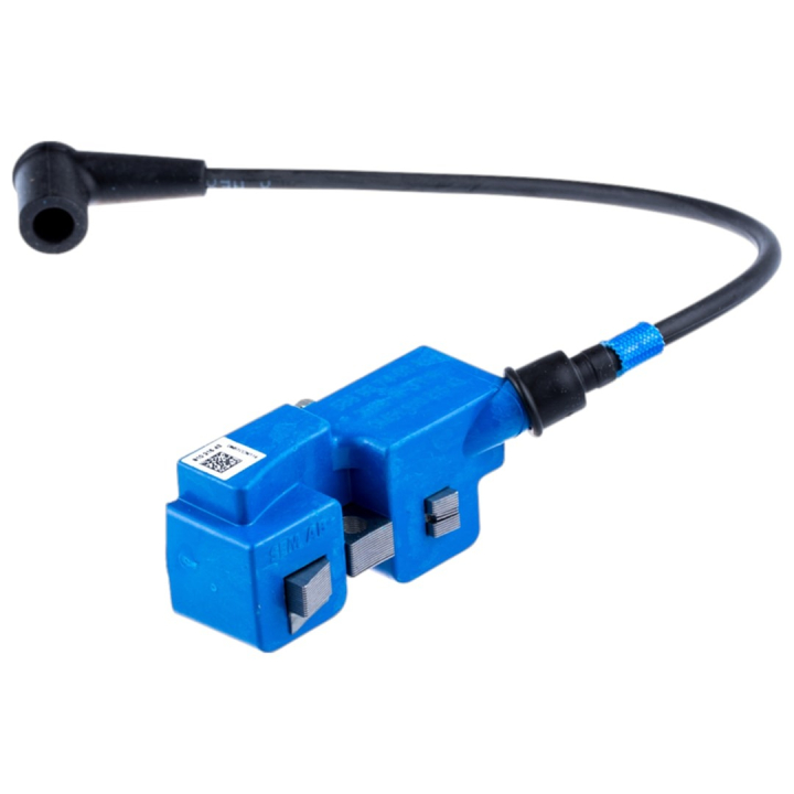 Ignition Module 5889374-03 in the group  at Gräsklipparbutiken (5889374-03)