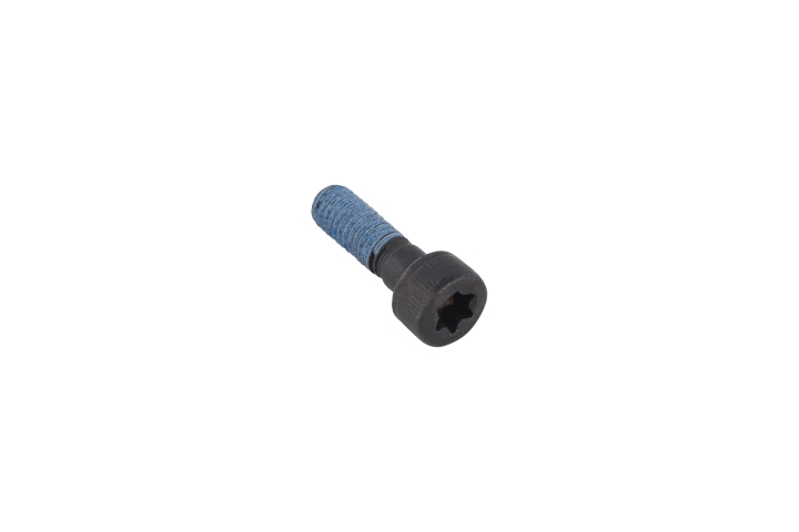 Screw hexalobular socket pan h in the group at Gräsklipparbutiken (5968761-01)