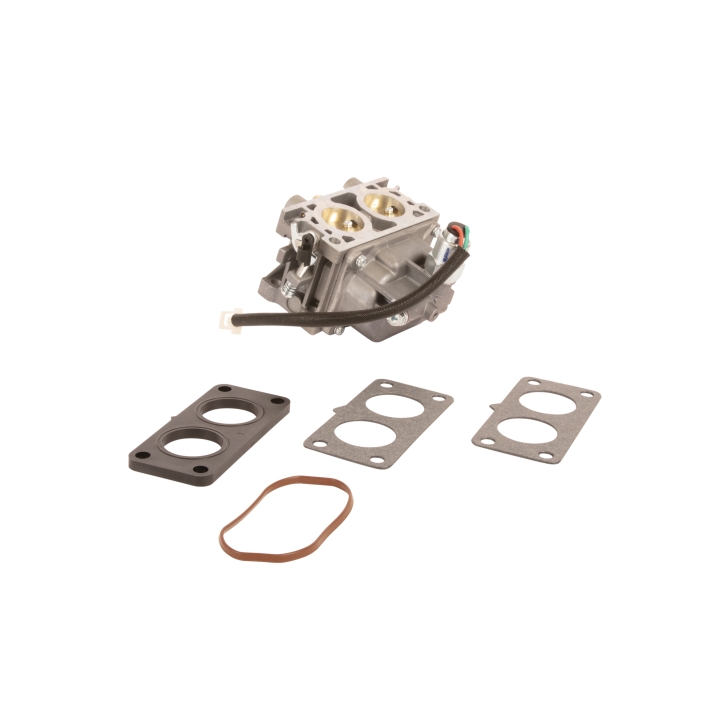 Carburettor kit service kit in the group  at Gräsklipparbutiken (5985991-02)